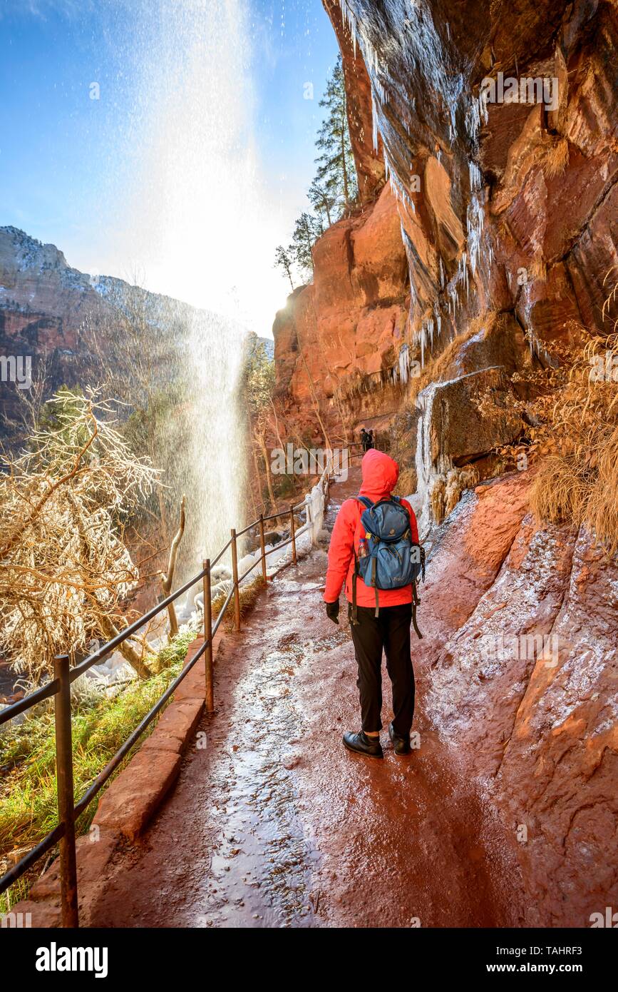 Escursionista di fronte alla cascata, cascate di acqua dalla roccia a strapiombo, ghiacciate escursioni sentiero smeraldo sentiero piscine in inverno, Parco Nazionale Zion, Utah, Stati Uniti d'America Foto Stock