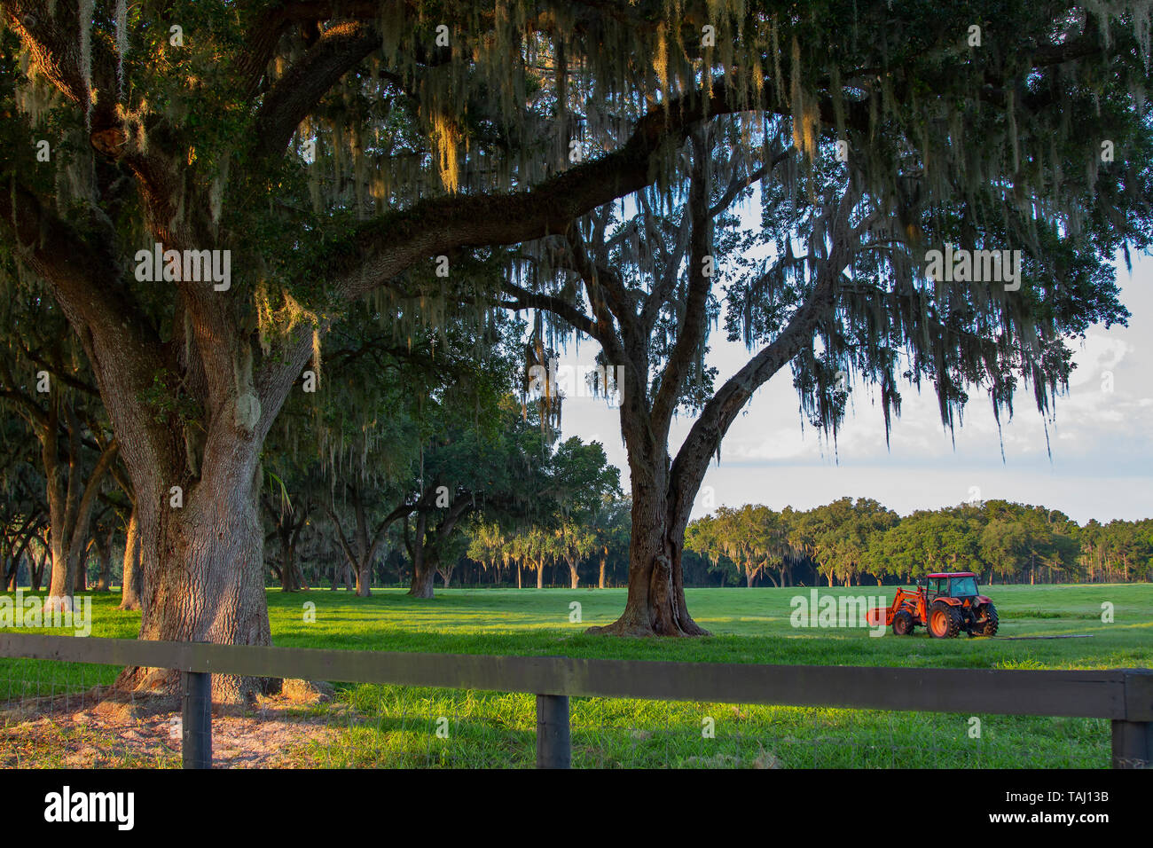 Un bellissimo Central Florida ranch. Foto Stock