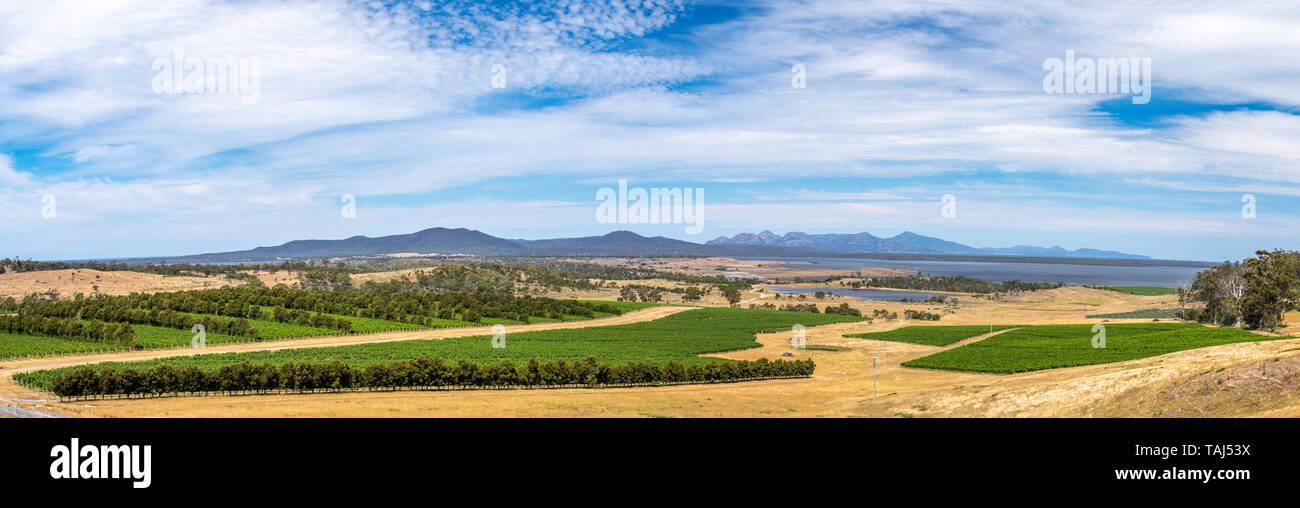 Panorama del Parco Nazionale di Freycinet dietro vigneto Foto Stock