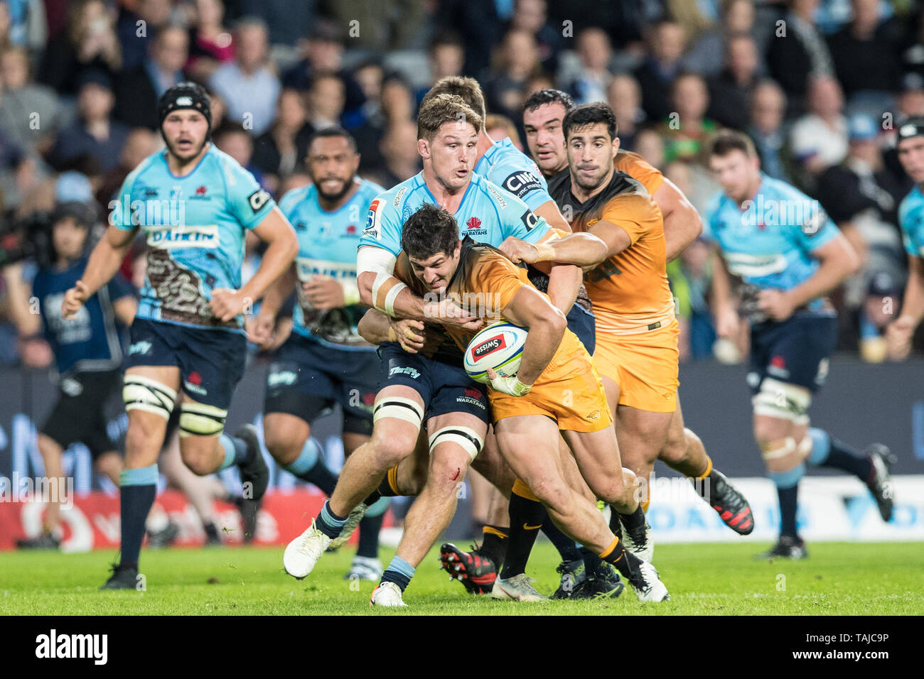 Sydney, Australia. 25 Maggio, 2019. Michael Hooper di Waratahs affronta durante la Super partita di rugby tra Waratahs e Jaguares a Bankwest Stadium, Sydney, Australia il 25 maggio 2019. Foto di Peter Dovgan. Solo uso editoriale, è richiesta una licenza per uso commerciale. Nessun uso in scommesse, giochi o un singolo giocatore/club/league pubblicazioni. Credit: UK Sports Pics Ltd/Alamy Live News Foto Stock