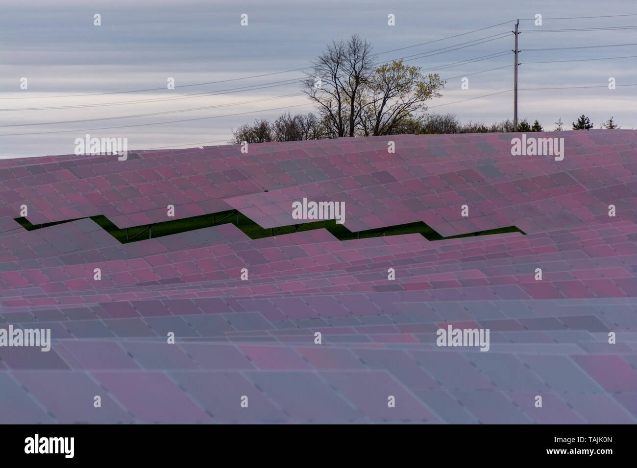 Fattoria solare con array di più pannelli solari Foto Stock
