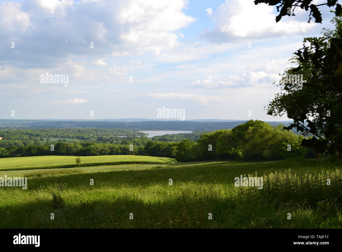 Vista verso la Fronda serbatoio di faggio e il Kent basso Weald da Stubbs legno vicino alla collina di IDE, Kent, Inghilterra nel maggio, primavera. Foto Stock