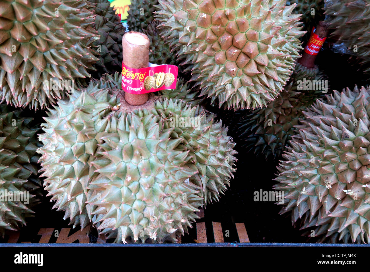 Durian per la vendita, Klong Tan area, Bangkok, Thailandia Foto Stock