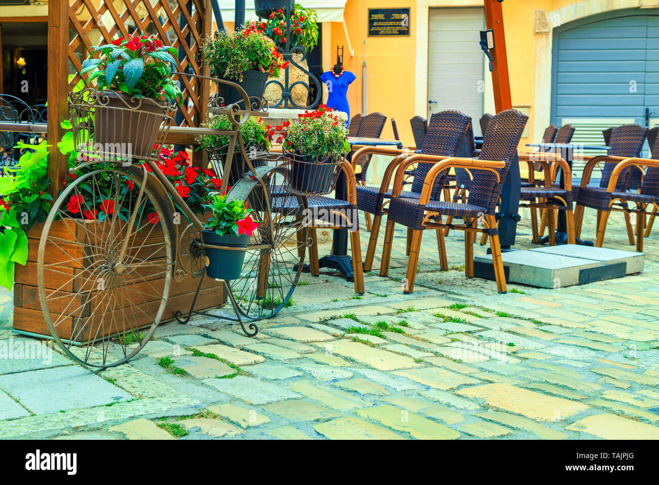 Viaggio estivo ubicazione con lastricato in pietra vecchia strada. Street cafe bar e vecchia bicicletta ornamentali con fiori di Rovigno città medievale, Croazia, Istria r Foto Stock