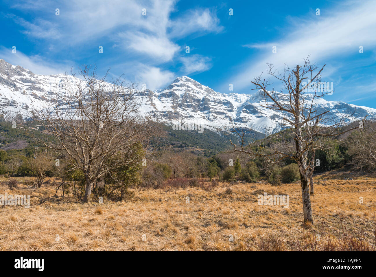Montagne dalle vette innevate in Greco Alpi, snow-laden montagne della Grecia torre sopra i prati erbosi ancora in giallo dopo l'snowmelt. Foto Stock Montagne dalle vette innevate in Greco Alpi, snow-laden montagne della Grecia torre sopra i prati erbosi ancora in giallo dopo l'snowmelt. Foto Stock