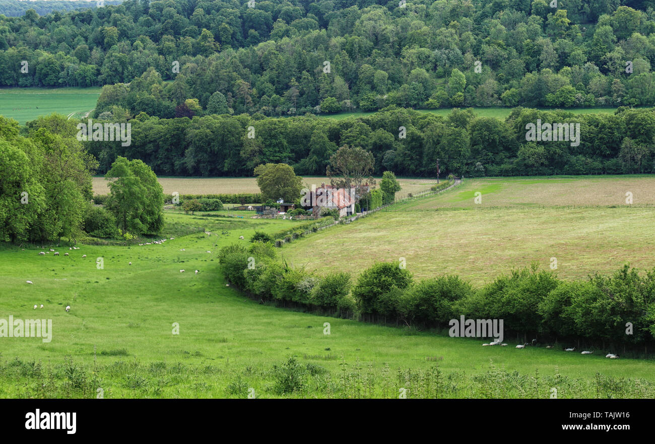 Un inglese un paesaggio rurale nella Chiltern Hills con casa colonica nella valle Foto Stock
