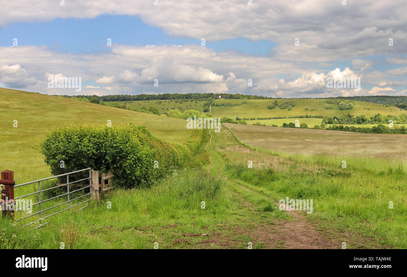 Un inglese un paesaggio rurale con la via attraverso un campo di Chiltern Hills e il mulino a vento sulla collina Foto Stock