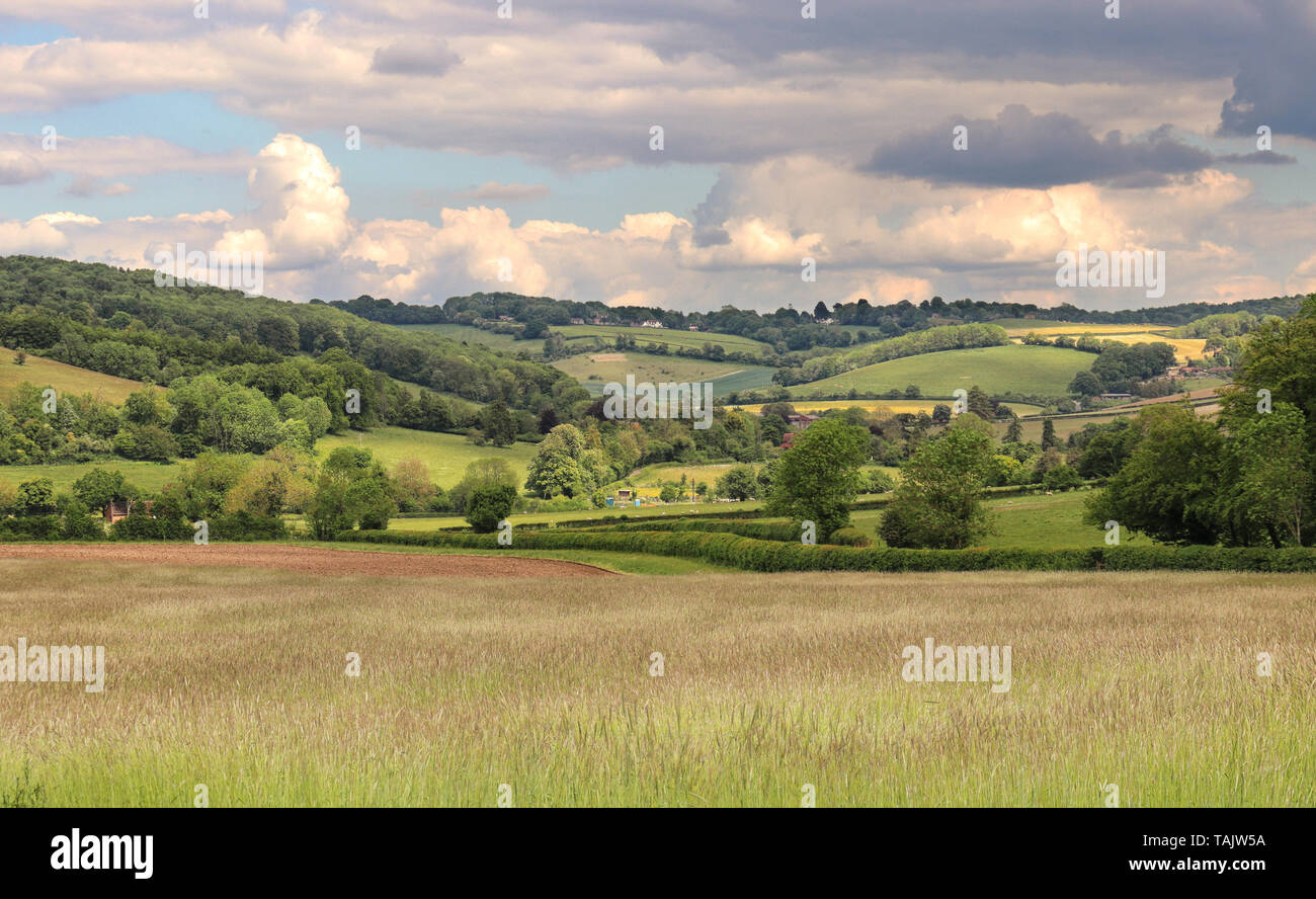 Un inglese un paesaggio rurale nella Chiltern Hills Foto Stock