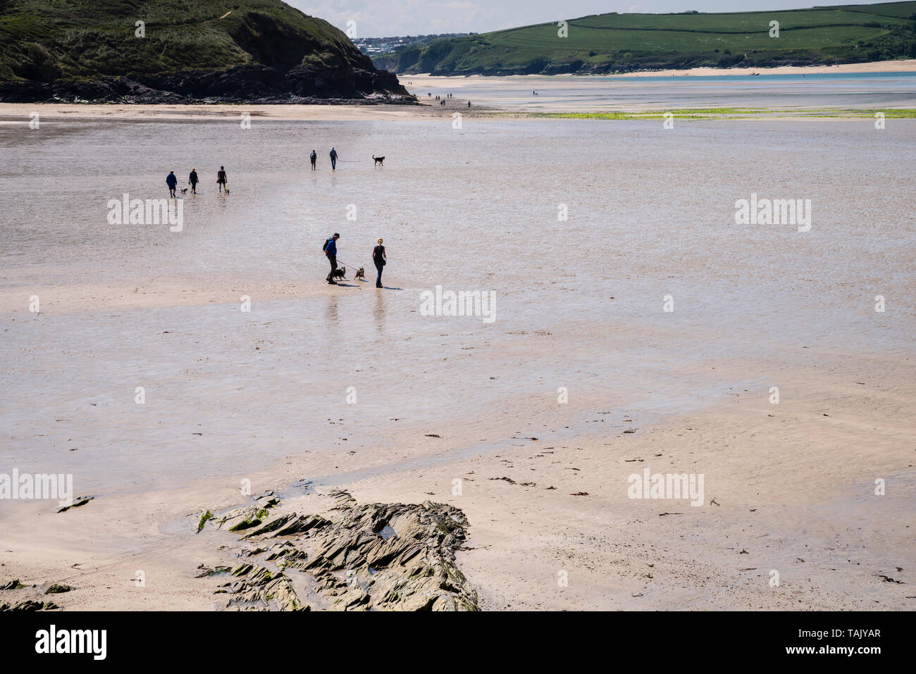 Una tranquilla giornata di sole con persone e cani a piedi lungo la spiaggia di sabbia a Daymer Bay. Foto Stock