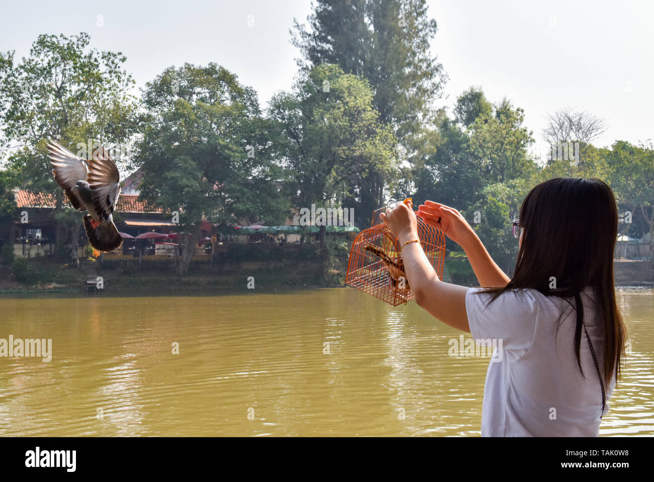 Giovane donna uccelli di rilascio al fiume Ping Chiang Mai . Nella religione buddista, alcune persone credono che il rilascio di animali torna in natura possono aiutare un individuo ad accumulare meriti. Foto Stock