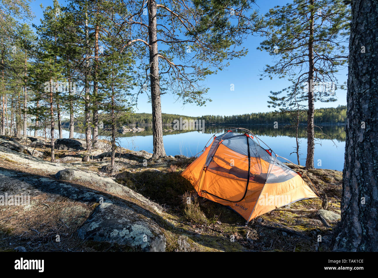 Campeggio in Kolovesi national park, Enonkoski, Finlandia Foto Stock