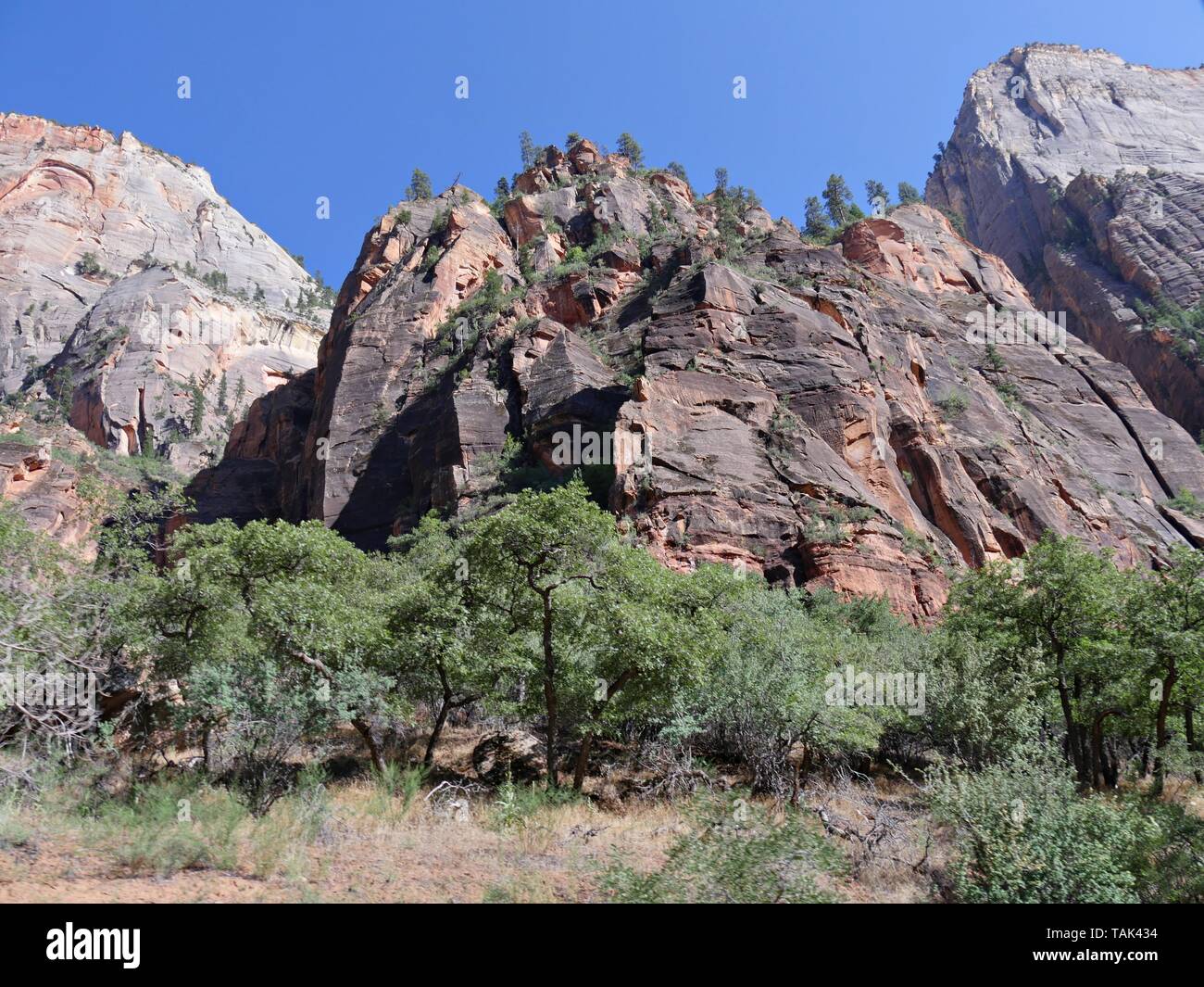 Imponenti rocce e ripide scogliere di arenaria con bordi taglienti e picchi a Zion National Park nello Utah. Foto Stock