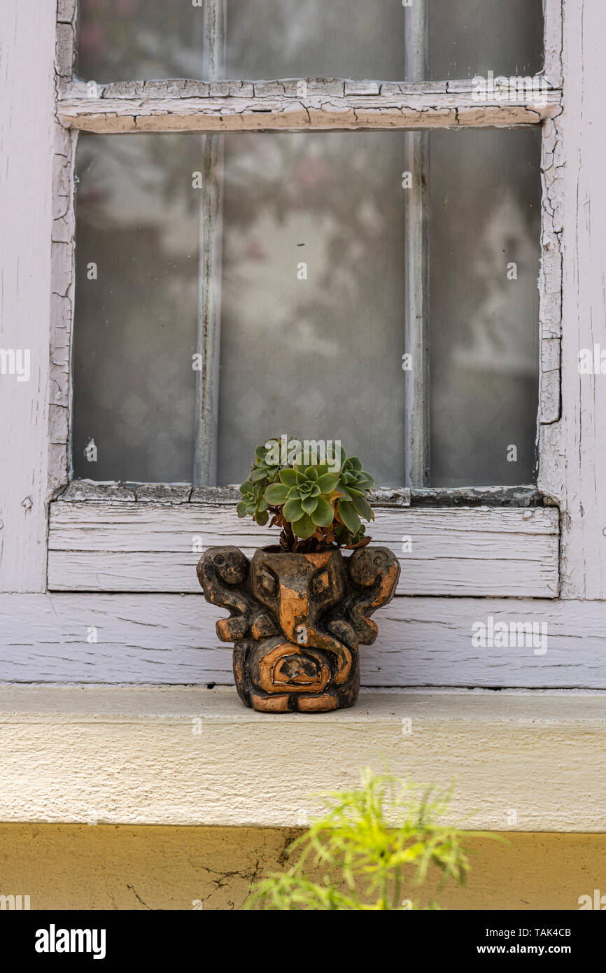 Un vaso da giardino/pianta piatto sagomato in forma di Signore Ganesha con un succulento crescente su di essa appoggiato su un davanzale esterno/davanzale. Foto Stock