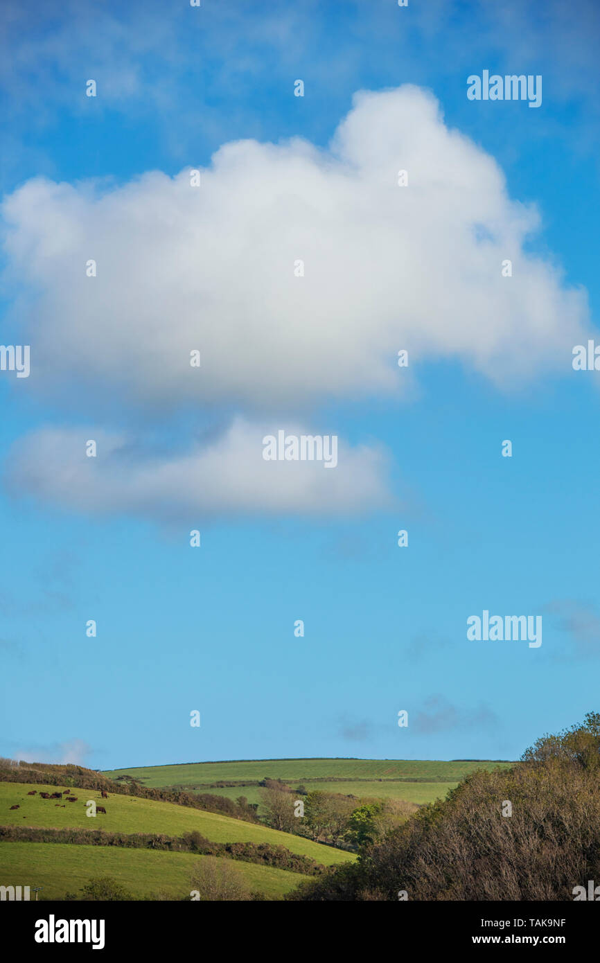 Cielo blu e nuvole sopra i campi rurali al di fuori Boscastle in Cornovaglia, England, Regno Unito Foto Stock