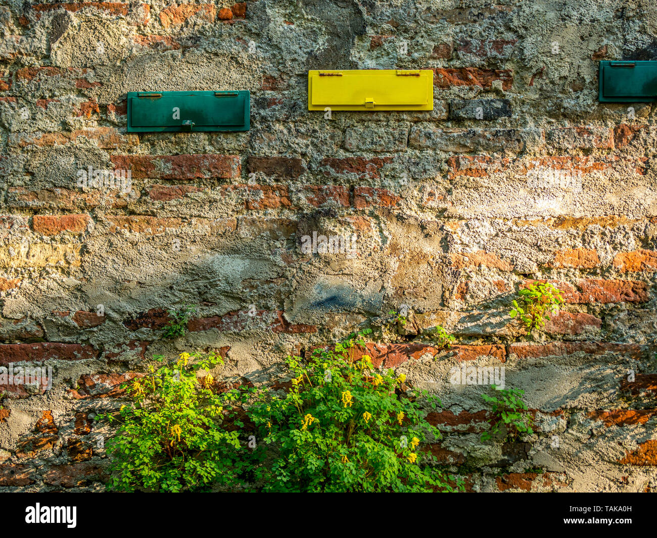 Immagine delle caselle colorate in un muro di mattoni, concept Foto Stock