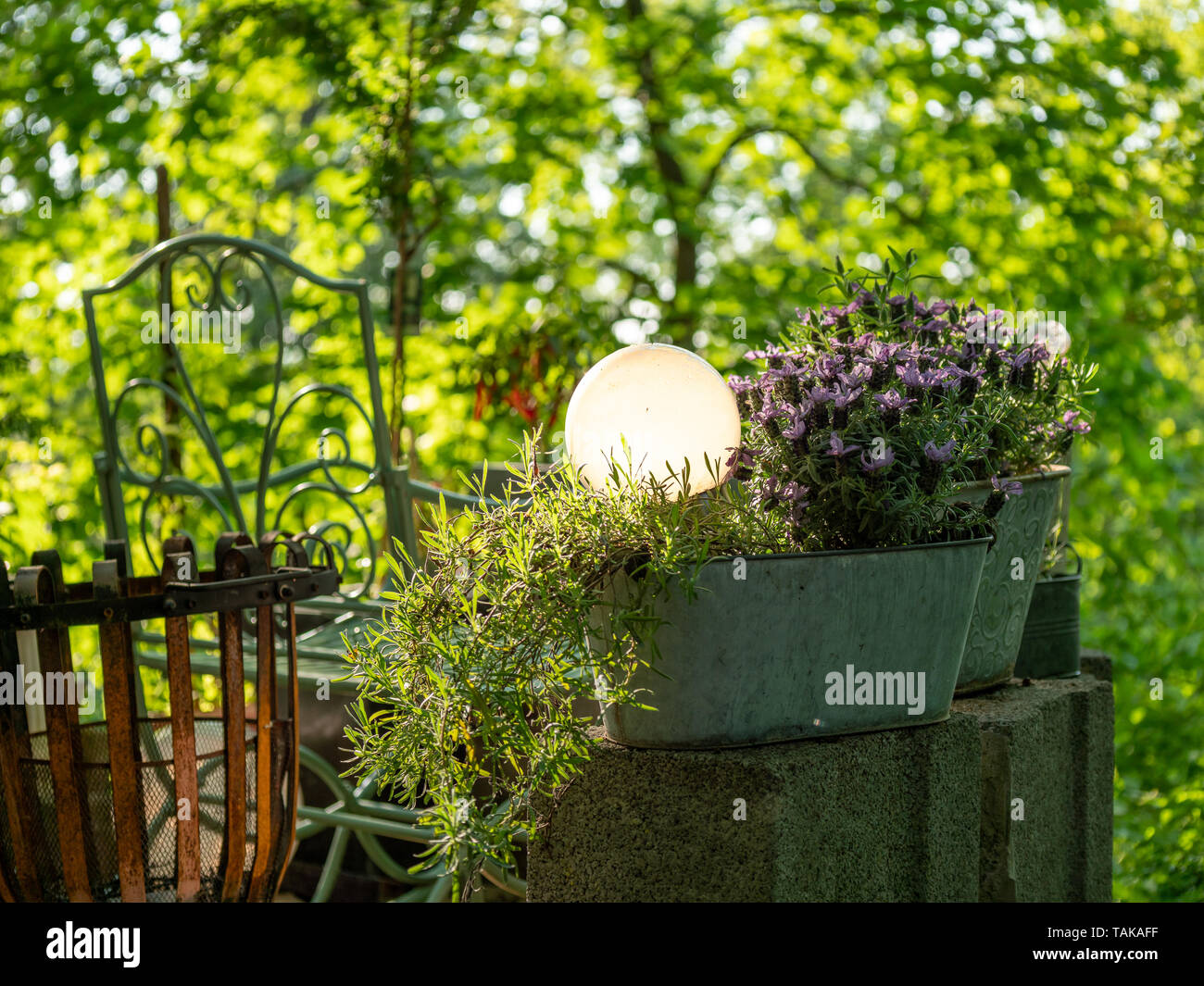 Immagine con diversi elementi per giardino decorazione. concetto Foto Stock