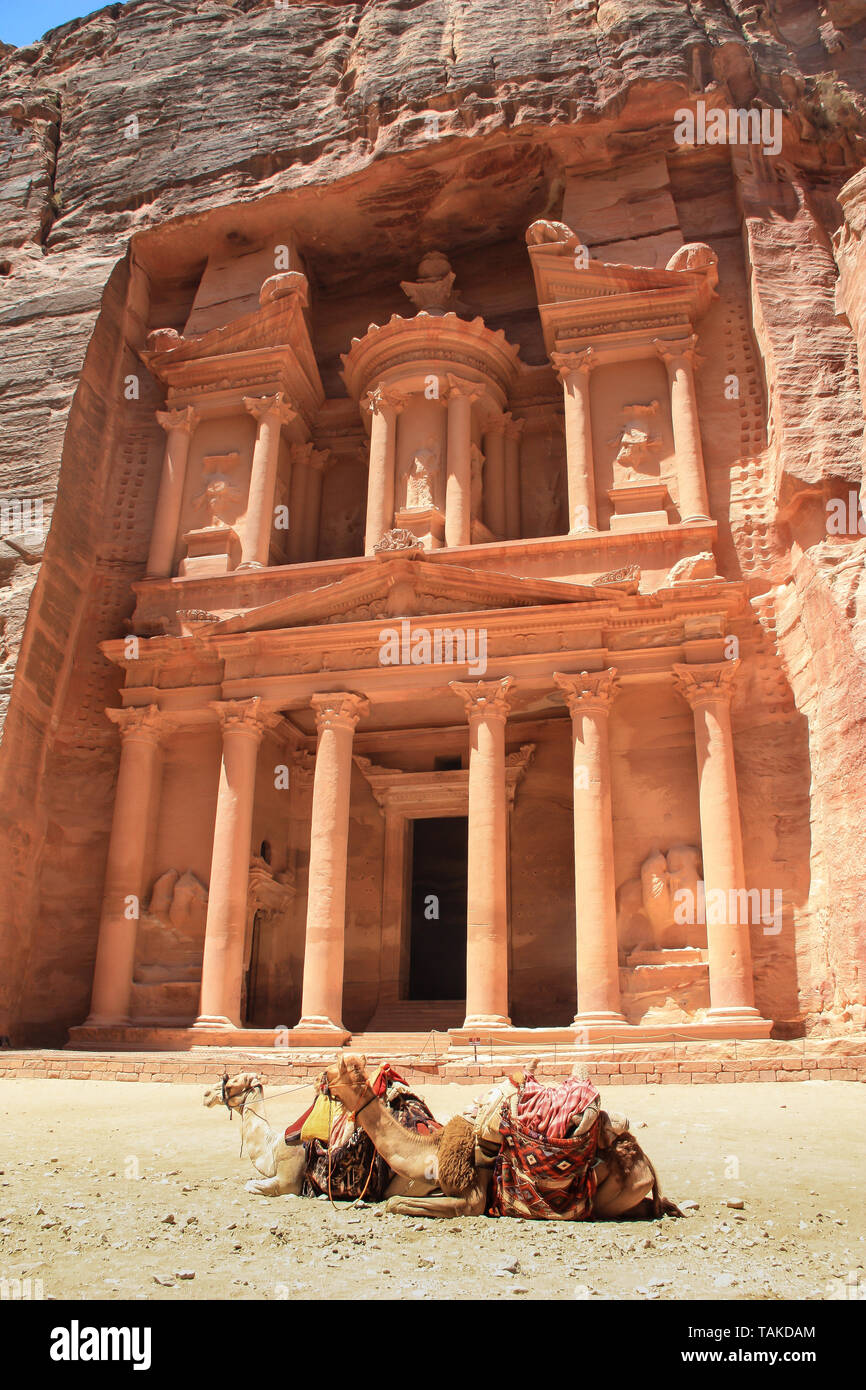 Petra gate del tesoro e anteriore di esso due cammelli a riposo, posizione: Petra, Giordania. Foto Stock