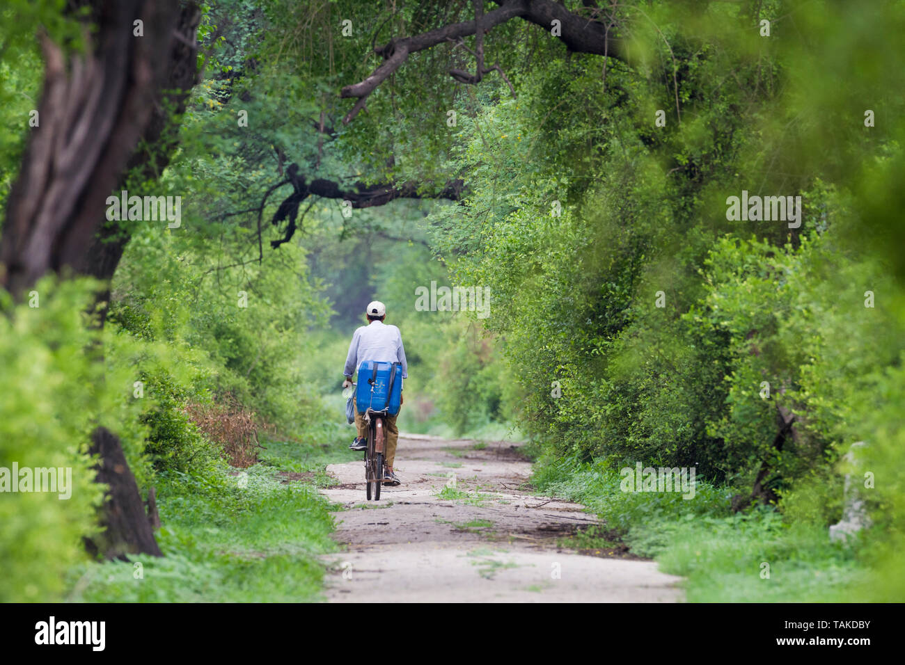 Uomo in sella ad una bicicletta su una strada. Parco Nazionale di Keoladeo. Bharatpur. Il Rajasthan. India. Foto Stock