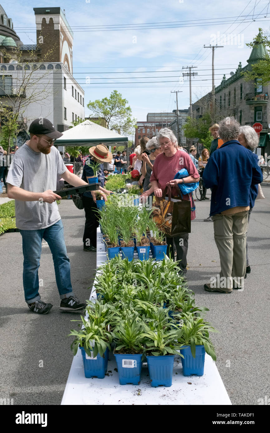 Distribuzione gratuita di fiori e piante per i residenti del Mile End . Molto popolare di verde e inclusive iniziativa rinnovato ogni anno a Montreal in diversi quartieri Foto Stock
