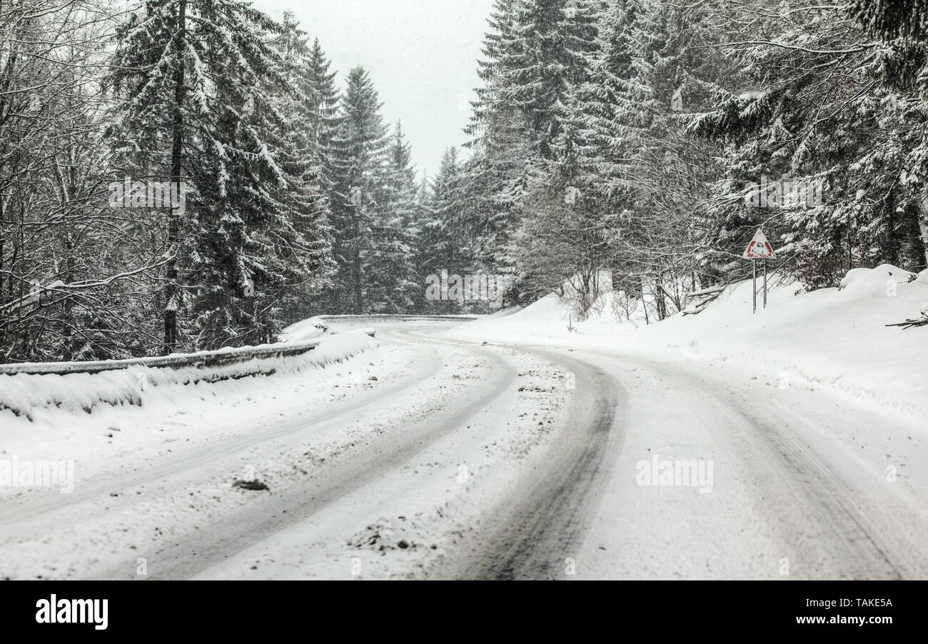 Curva sulla strada forestale ricoperta di neve, più la caduta, pericolose condizioni di guida Foto Stock