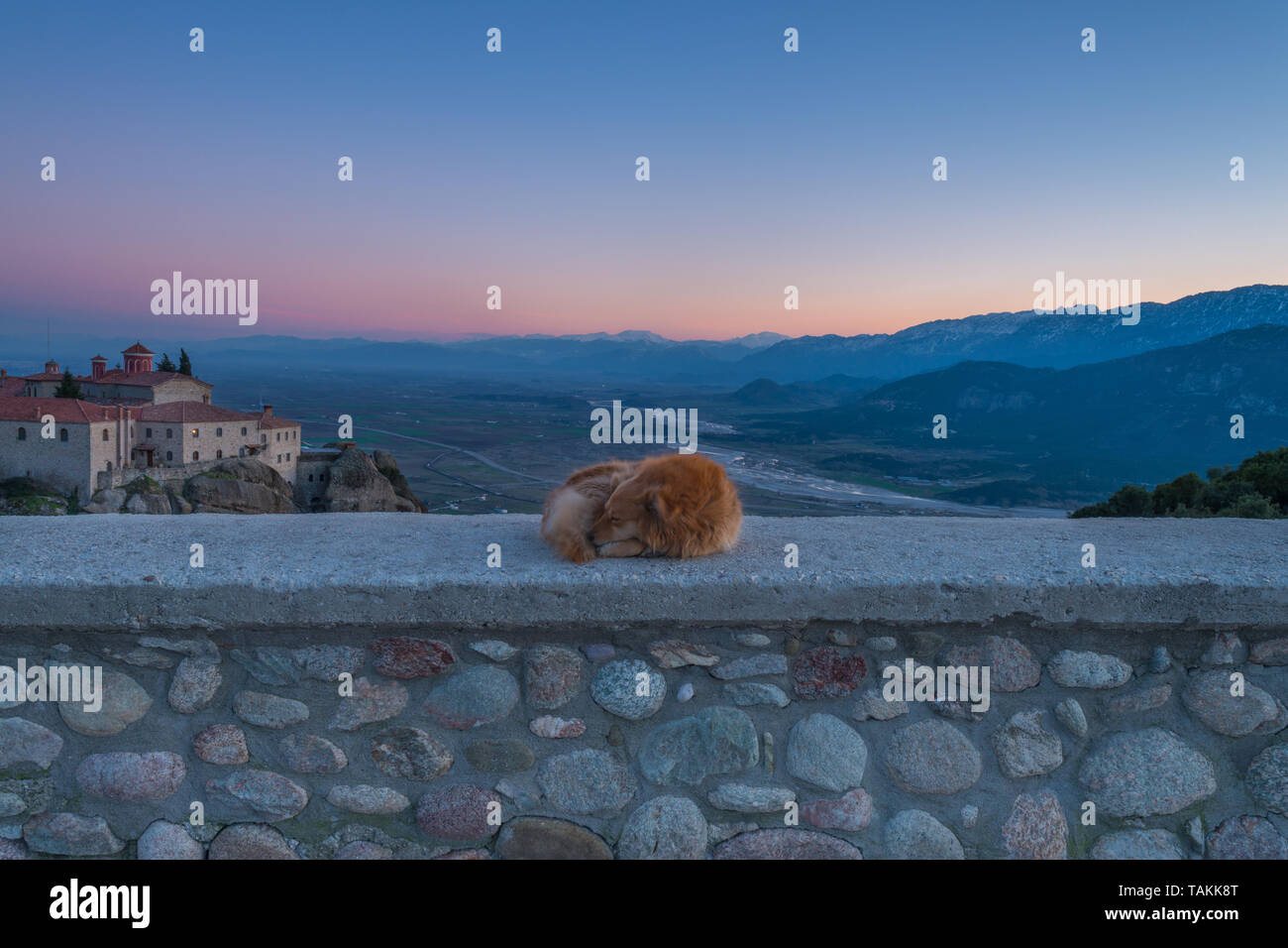 Una solitaria, solitario cane dorme su un muro di pietra al di sopra di San Nicola nel monastero di Meteora. Coccolati, amichevole, cane dorme al tramonto in Grecia. Foto Stock