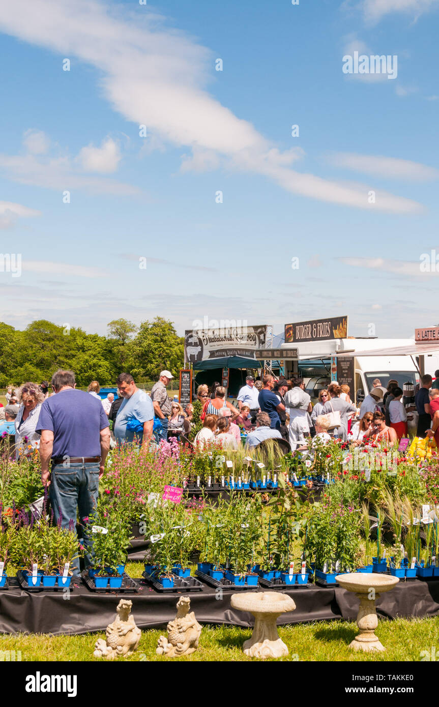 Detling, Kent, Regno Unito. 26 maggio 2019. Il secondo giorno del Kent Giardino mostra ai visitatori godere il caldo clima soleggiato guardando rotondo l'impianto attuale. La mostra si terrà nel corso di un weekend presso la Kent Showground a Detling, vicino a Maidstone. Credito: UrbanImages-News/Alamy. Foto Stock