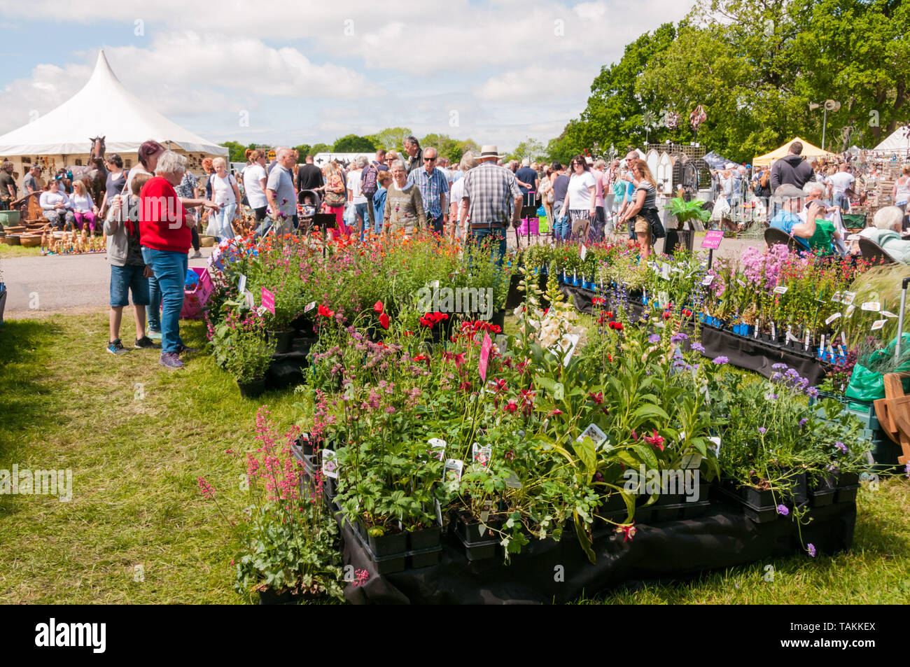Detling, Kent, Regno Unito. 26 maggio 2019. Il secondo giorno del Kent Giardino mostra ai visitatori godere il caldo clima soleggiato guardando rotondo l'impianto attuale. La mostra si terrà nel corso di un weekend presso la Kent Showground a Detling, vicino a Maidstone. Credito: UrbanImages-News/Alamy. Foto Stock