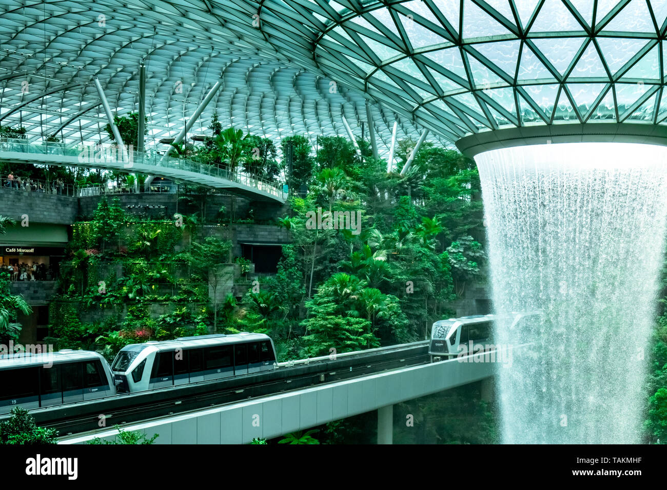 SINGAPORE-Maggio 18, 2019 : HSBC vortice di pioggia, le più alte del mondo cascata al coperto al gioiello Changi Airport. Verde bosco in Mall e lo skytrain. Iconico Foto Stock