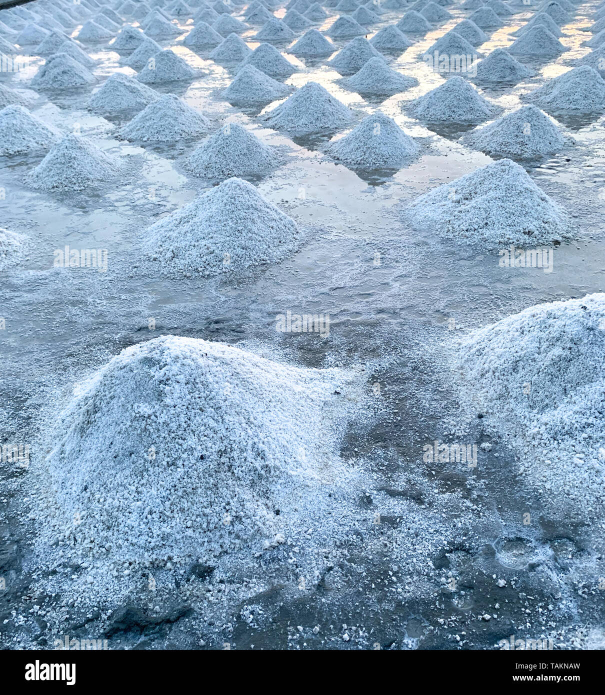 Sale marino azienda agricola a Samut Sakhon, Thailandia. Organici di sale marino. Evaporazione e cristallizzazione di acqua di mare. Il materiale grezzo di sale industriale. Foto Stock