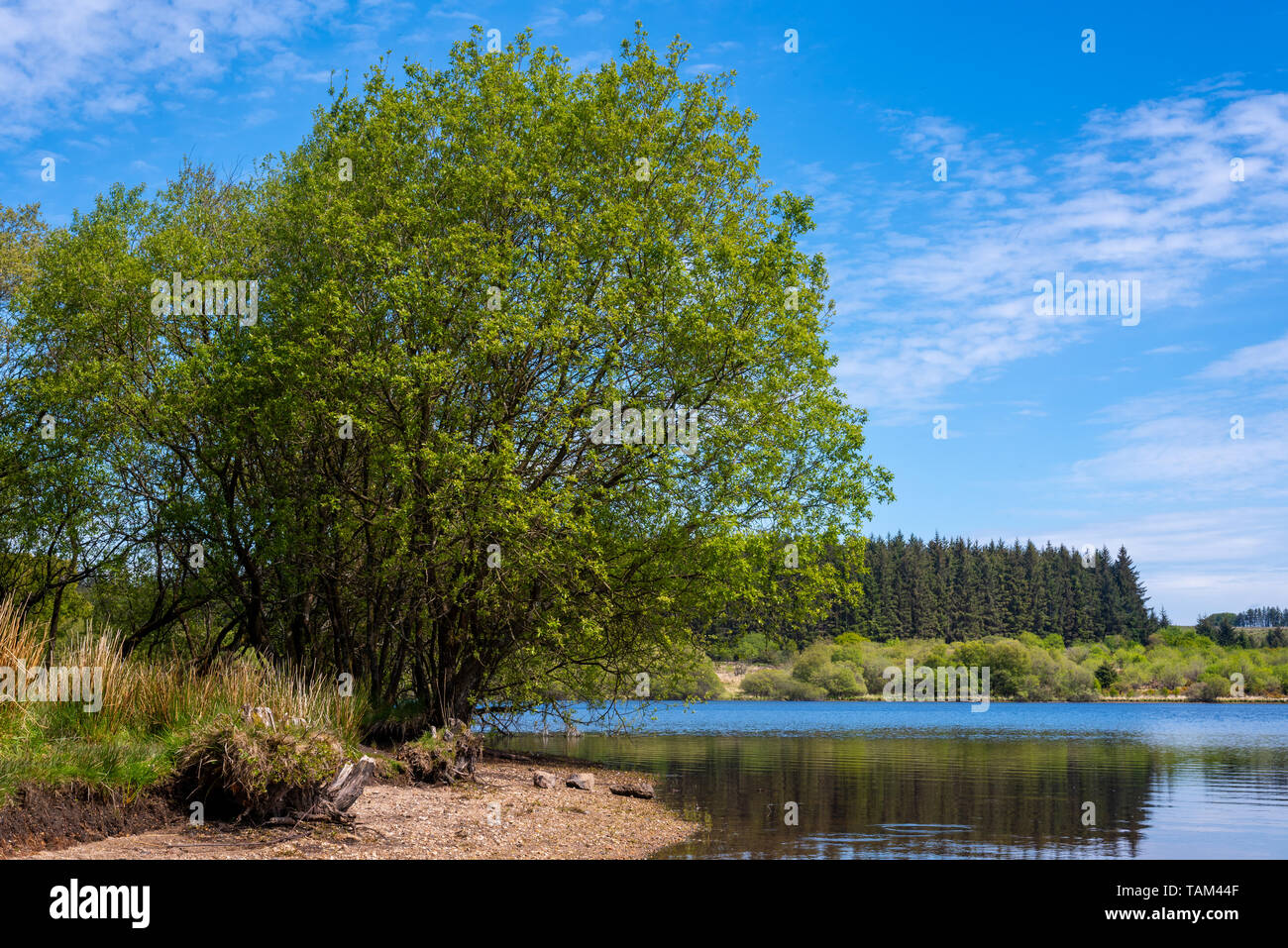 Cielo blu al serbatoio Fernworthy, Dartmoor Devon, Regno Unito Foto Stock