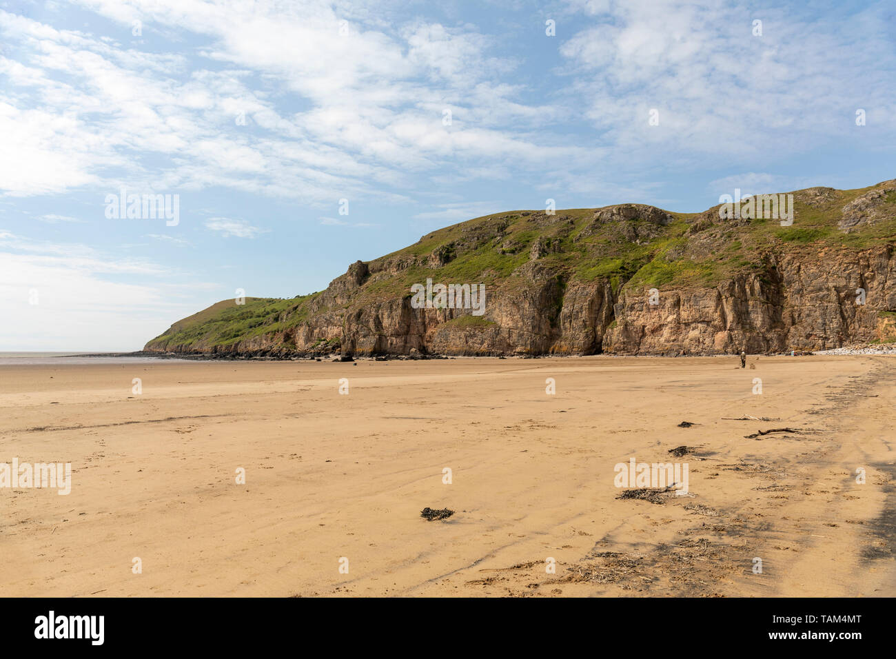 Le scogliere sul lato sud di Brean Down, Somerset, Inghilterra, Regno Unito Foto Stock