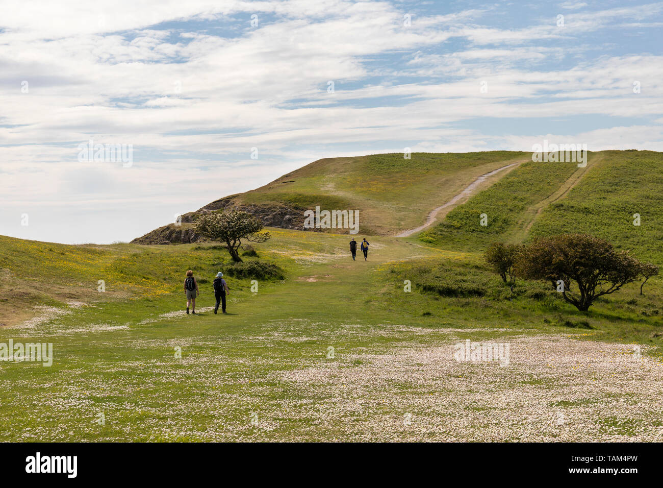 Camminatori a piedi Brean lungo il percorso costiero, costa Somerset, Inghilterra, Regno Unito Foto Stock