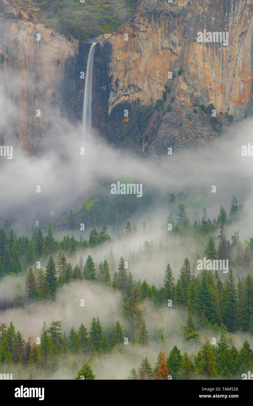 Bridalveil falls e la nebbia Yosemite National Park, California, USA, da Bill Lea/Dembinsky Foto Assoc Foto Stock
