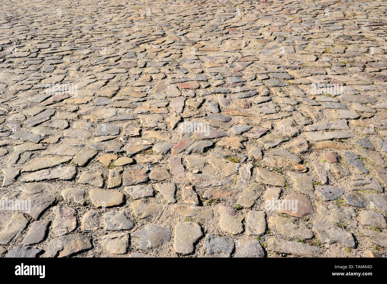 Ciottoli su una strada Foto Stock