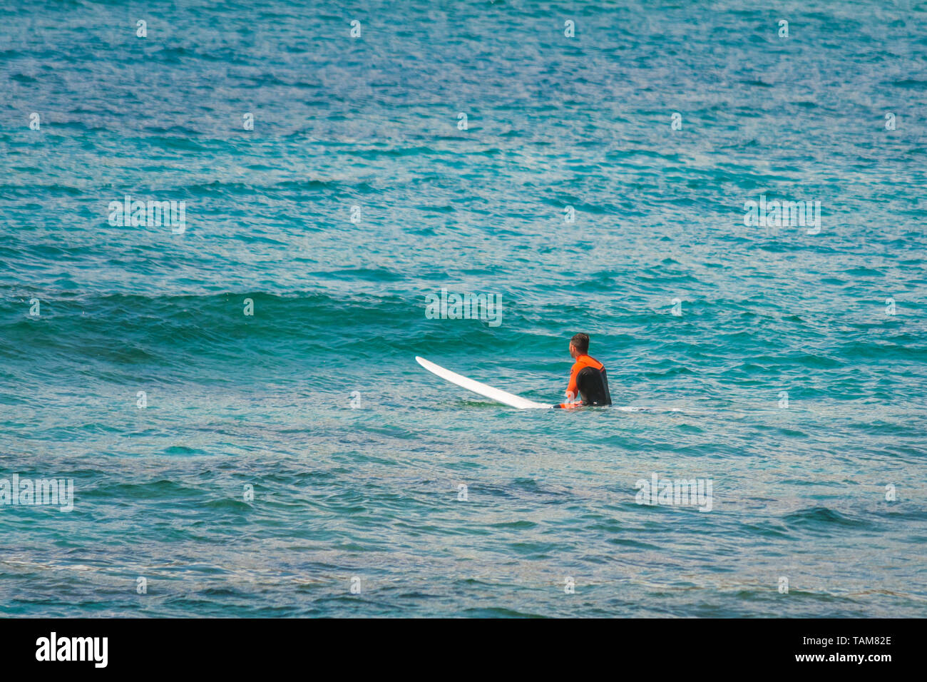 Surfer in mare in attesa per le onde in un ventoso e giornata di sole Foto Stock