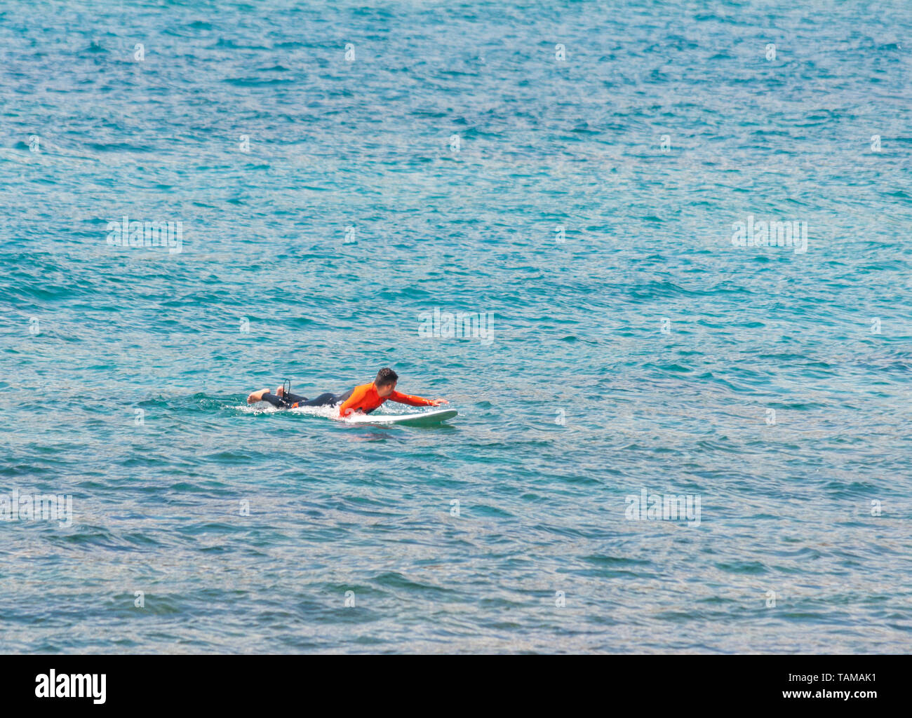 Surfer in mare in attesa per le onde in un ventoso e giornata di sole Foto Stock