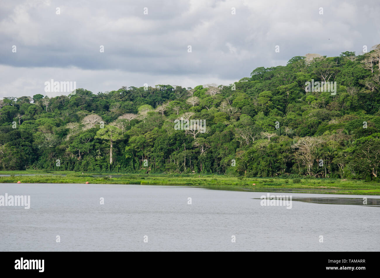 Sul Fiume Chagres e il Parco Nazionale di Soberania nella distanza Foto Stock