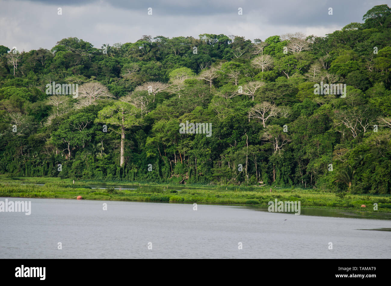 Sul Fiume Chagres e il Parco Nazionale di Soberania nella distanza Foto Stock