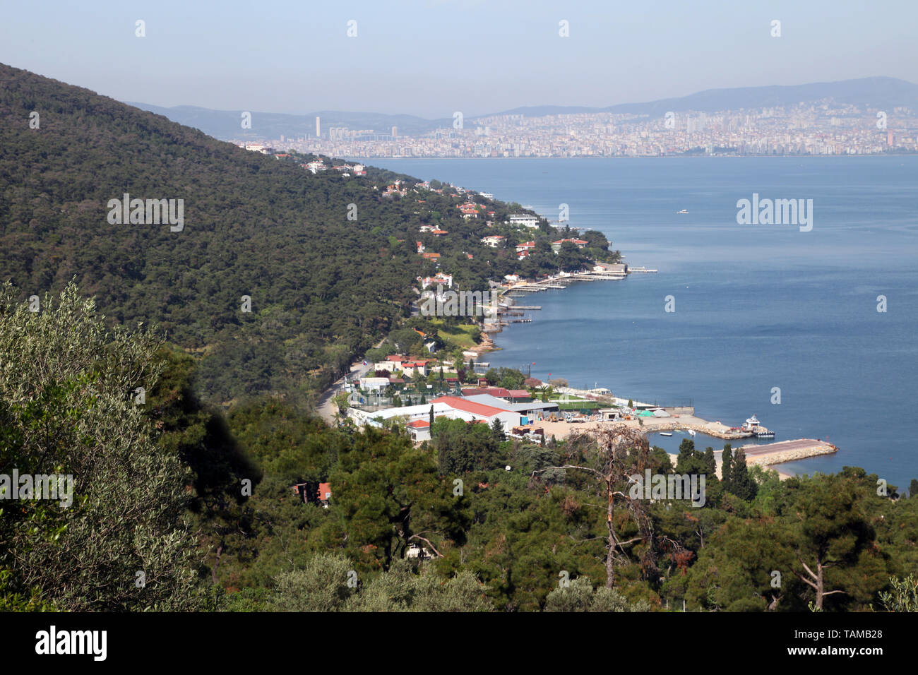 Isola Principe Buyukada costa nel Mar di Marmara, Istanbul, Turchia. Buyukada è la più grande isola di Istanbul. Foto Stock