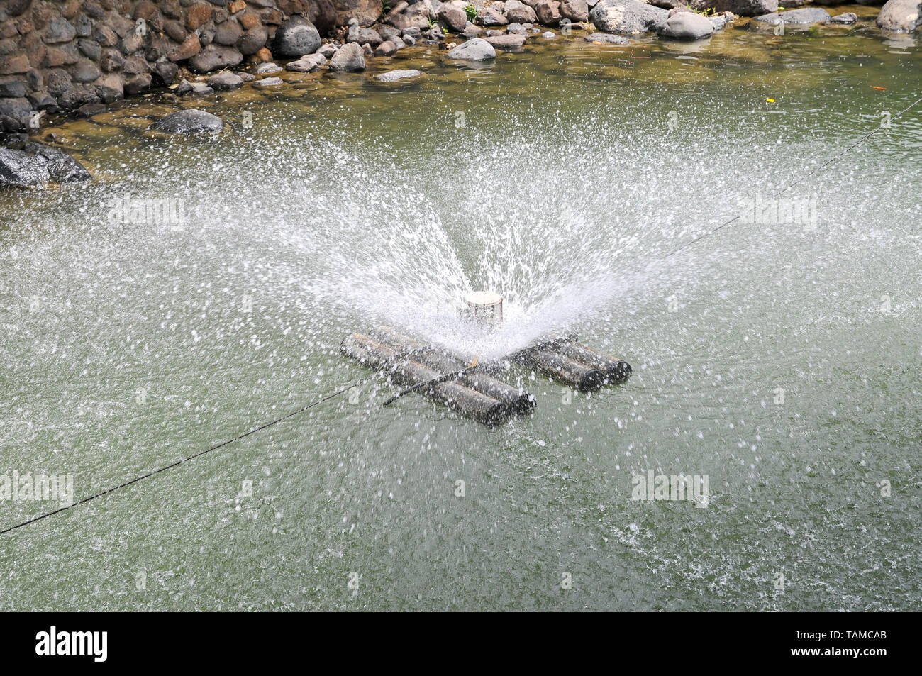 Israele Kibbutz Ein Gev Pesca, agitando l'acqua per ossidare Foto Stock