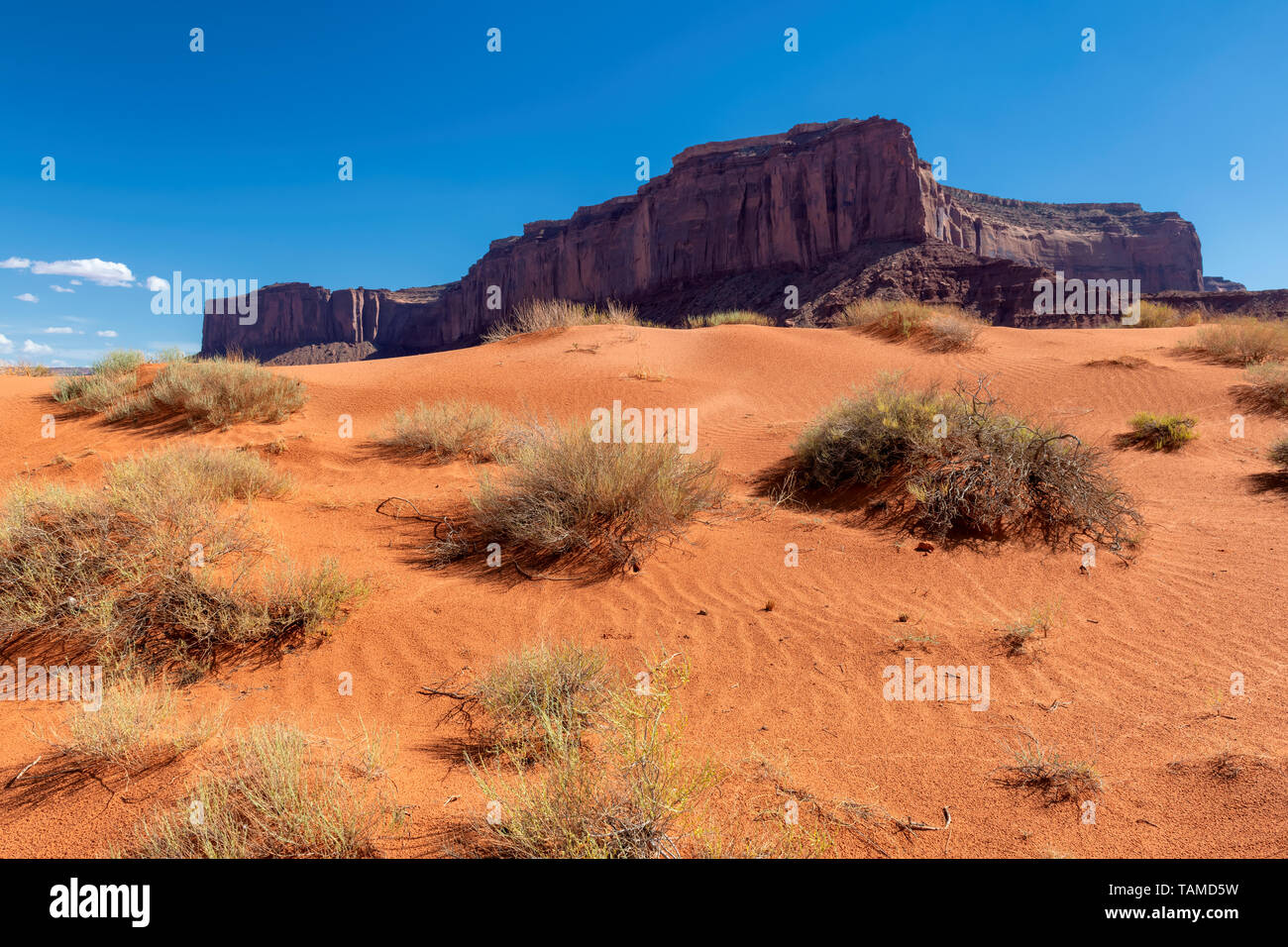 Dune di sabbia del deserto della Monument Valley, Arizona Foto Stock