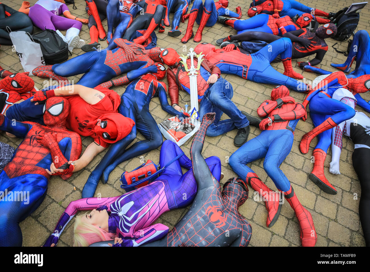 Londra, Regno Unito. 26 Maggio, 2019. Spider-Carnage! Un simpatico gruppo di oltre trenta Spidermen Spiderwomen e da un social media gruppo chiamato "ragno-versetto' pongono su una tempesta e divertirsi presso l'evento. MCM Comicon del terzo e ultimo giorno, vede ancora una volta migliaia di cosplayers e appassionati di fumetti, giochi e sci-fi fantasy e ruotare fino in fantastici costumi e abiti a ExCel di Londra per celebrare i loro personaggi preferiti. Credito: Imageplotter/Alamy Live News Foto Stock