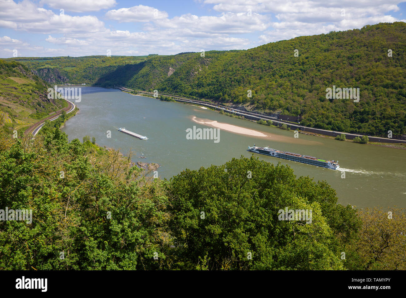 Hotel nave sul fiume Reno a Oberwesel, sito patrimonio mondiale dell'Unesco, Valle del Reno superiore e centrale, Renania-Palatinato, Germania Foto Stock