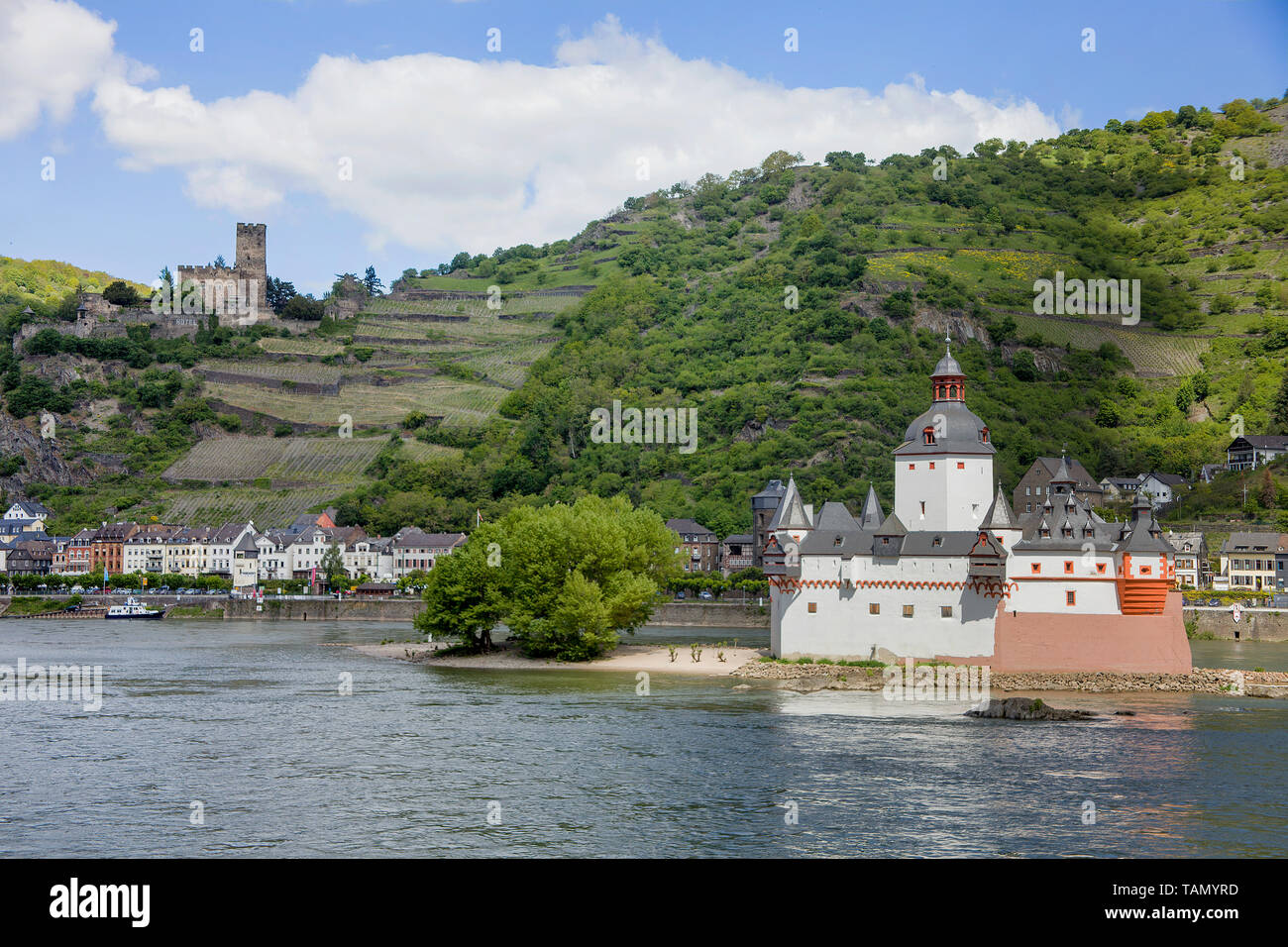 Il castello Pfalzgrafenstein sull isola reno Falkenau, sopra il castello di Gutenfels, Kaub, Valle del Reno superiore e centrale, Renania-Palatinato, Germania Foto Stock