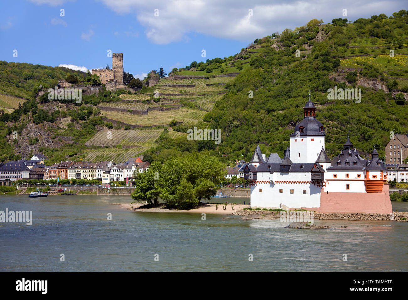 Il castello Pfalzgrafenstein sull isola reno Falkenau, sopra il castello di Gutenfels, Kaub, Valle del Reno superiore e centrale, Renania-Palatinato, Germania Foto Stock