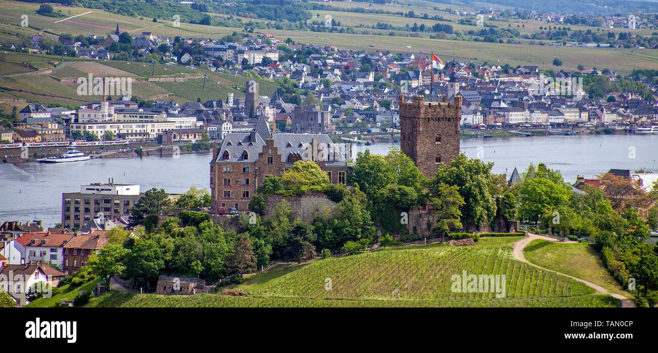 Castello di Klopp a Bingen, vista su Ruedesheim all altro lato del Reno, Valle del Reno superiore e centrale, Renania-Palatinato, Germania Foto Stock