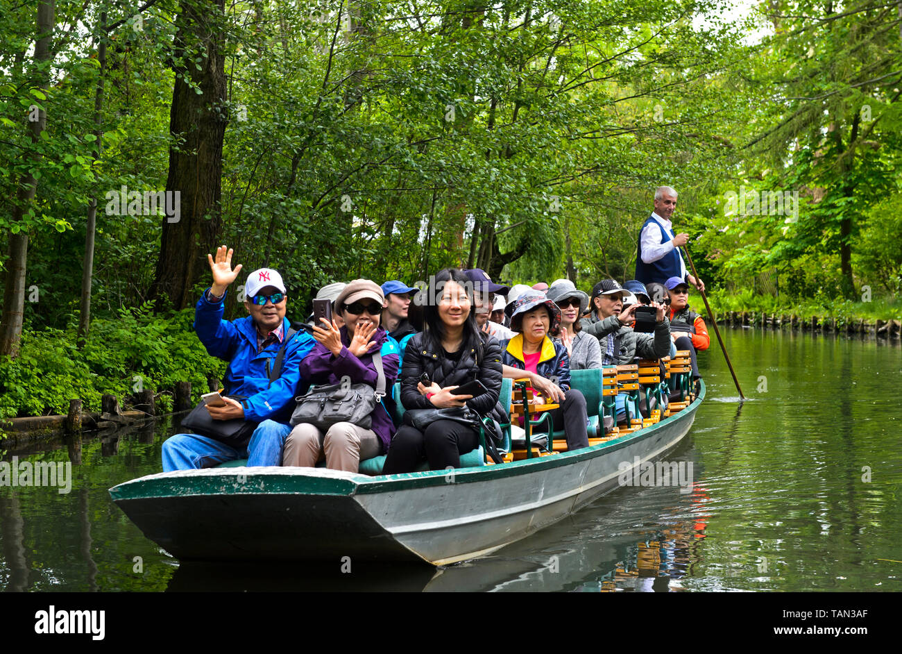 I turisti provenienti dalla Cina a bordo di una barca in un tradizionale Spreewald punt sul fiume Spree, Lehde vicino a Luebbenau, regione Spreewald, Germania Foto Stock