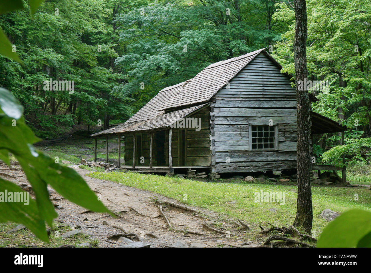 Un log cabin in Great Smoky Mountain National Park in Tennessee negli Stati Uniti. Noè "Bud" Ogle cabin costruito circa 1890. Foto Stock