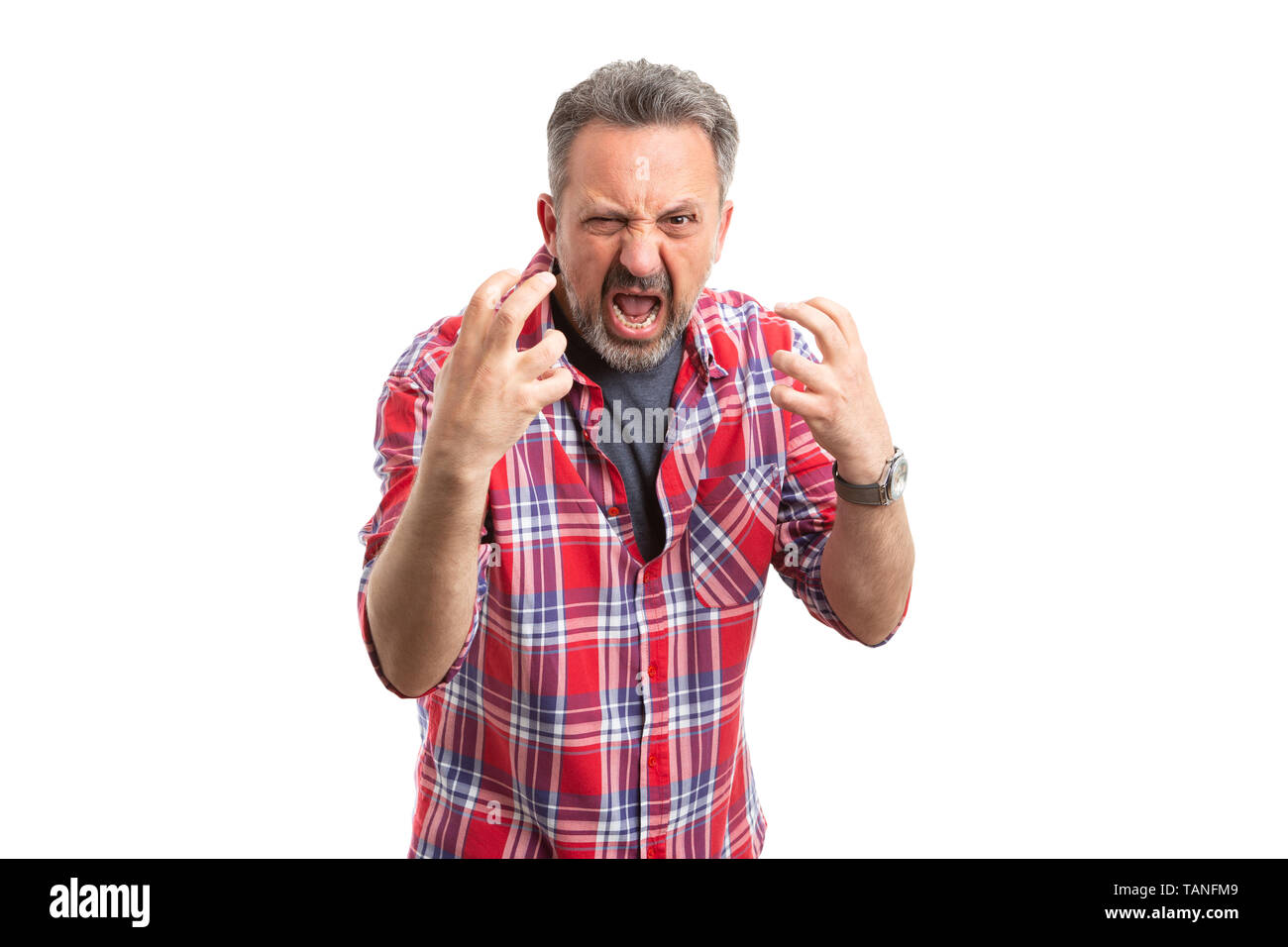 Uomo disperato indossando red plaid shirt e grigio tshirt urlando in collera e compiendo gesti con le mani isolato su bianco Foto Stock