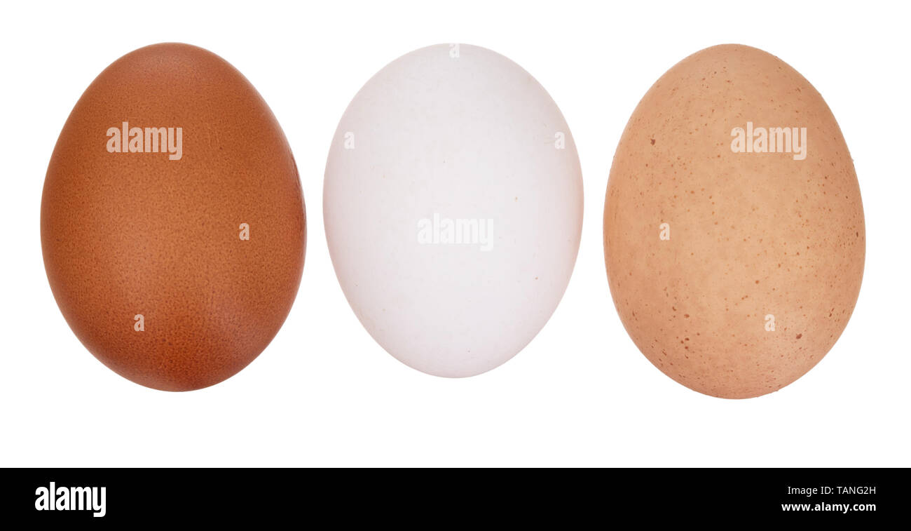 Una diversità di uova. Tre pollo, uova di galline isolato su bianco. Colori: marrone e bianco screziato. Foto Stock